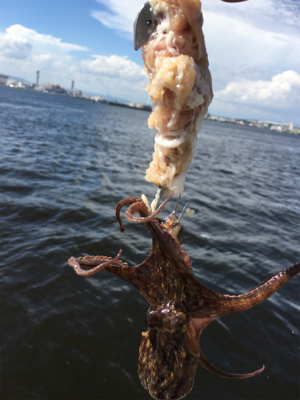 豚バラはどう？