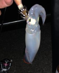 まだまだ小さい