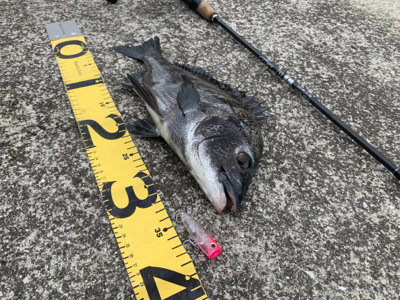 トップチニング