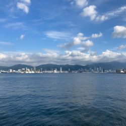 サバ・鯖・サバ・鯖