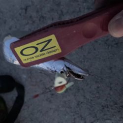 今季初、プチ爆！