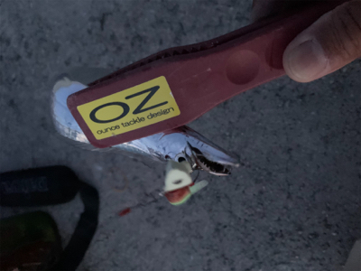 今季初、プチ爆！