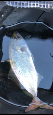 里帰りついでに