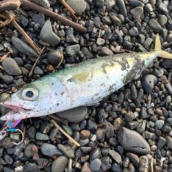 サイズが小さい