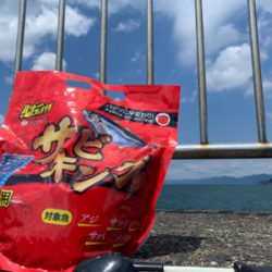 サビキング+ジグサビキ