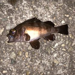 またまた淡路島