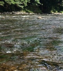 安曇川村井橋上流