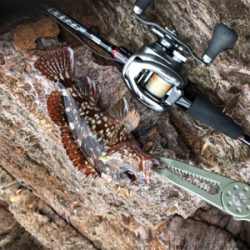 日本海最高‼️