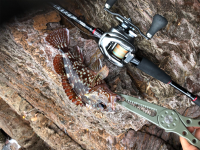 日本海最高‼️