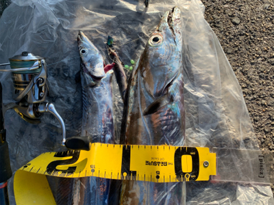 粘って意地のドラゴン‼︎