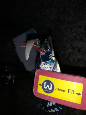 調子に乗りすぎた！