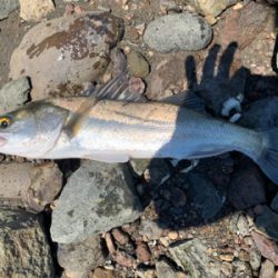 暑いけどDAYはいい