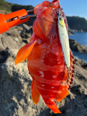 串本ディープロックゲーム♪