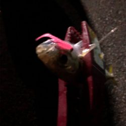 フロートアジング