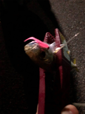 フロートアジング