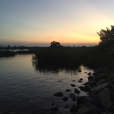 淀川ブリームゲーム