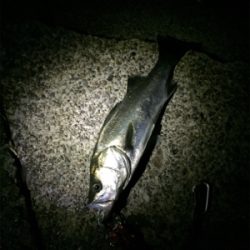 諦めかけてたその時にやっと