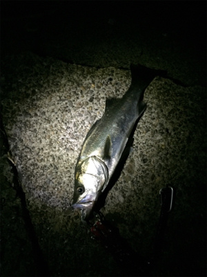 諦めかけてたその時にやっと