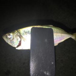 下げ潮の難しさ