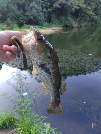 パンチショット