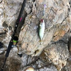 サバゲー化してきた