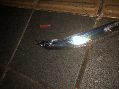 皆さん急いでー