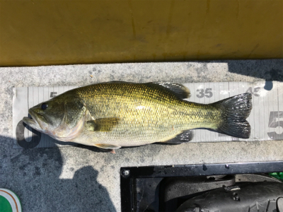 1日ボート釣行！