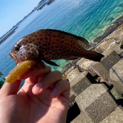 串本ロックゲーム‼︎