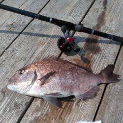 久し振り過ぎて