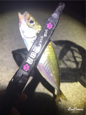 フロートアジング