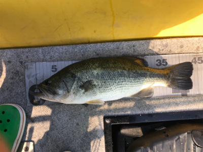 午前中ボート釣行！