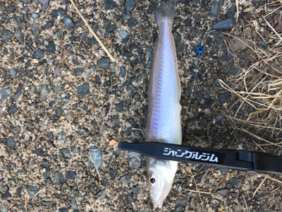 キスを求めて②