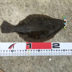 ソゲくんゲット！