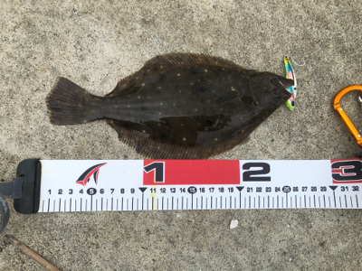 ソゲくんゲット！