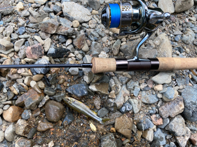 カワムツをスプーンで釣る