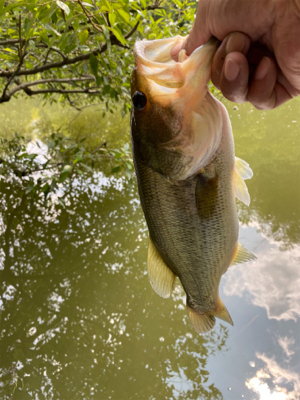 久々の嫁とのバス釣り。