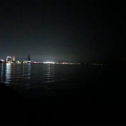 サーベリングからのアジング