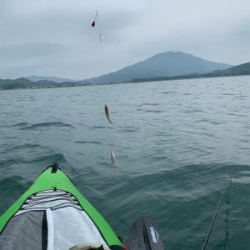 ボートキス釣り