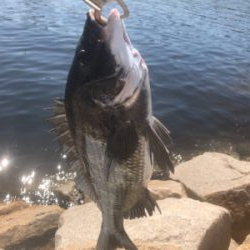 前打ちプラクティス