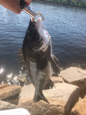 前打ちプラクティス