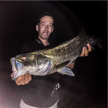 出ましたランカーシーバス