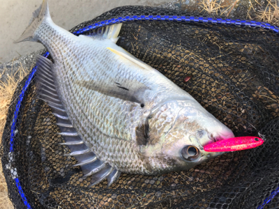 トップ炸裂！！