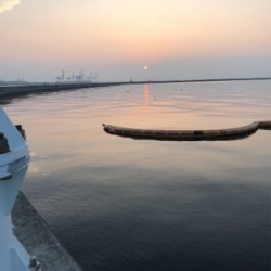 貴重なワンちゃん逃した(◞‸◟)