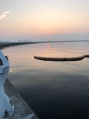 貴重なワンちゃん逃した(◞‸◟)