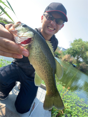 バスがいたよ！