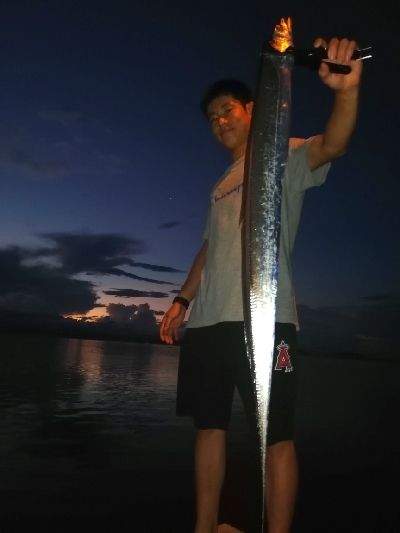 朝マズメタチウオ。