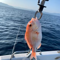 真夏のマイボート釣行