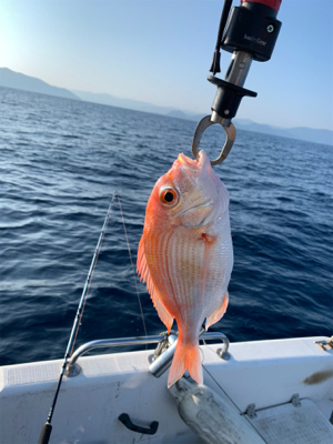 真夏のマイボート釣行