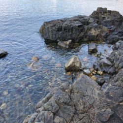 スイングウォーブラーも入魂