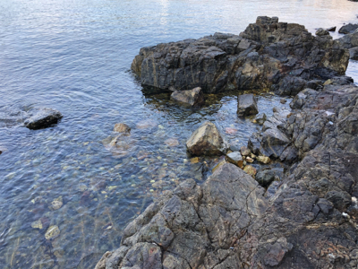 スイングウォーブラーも入魂